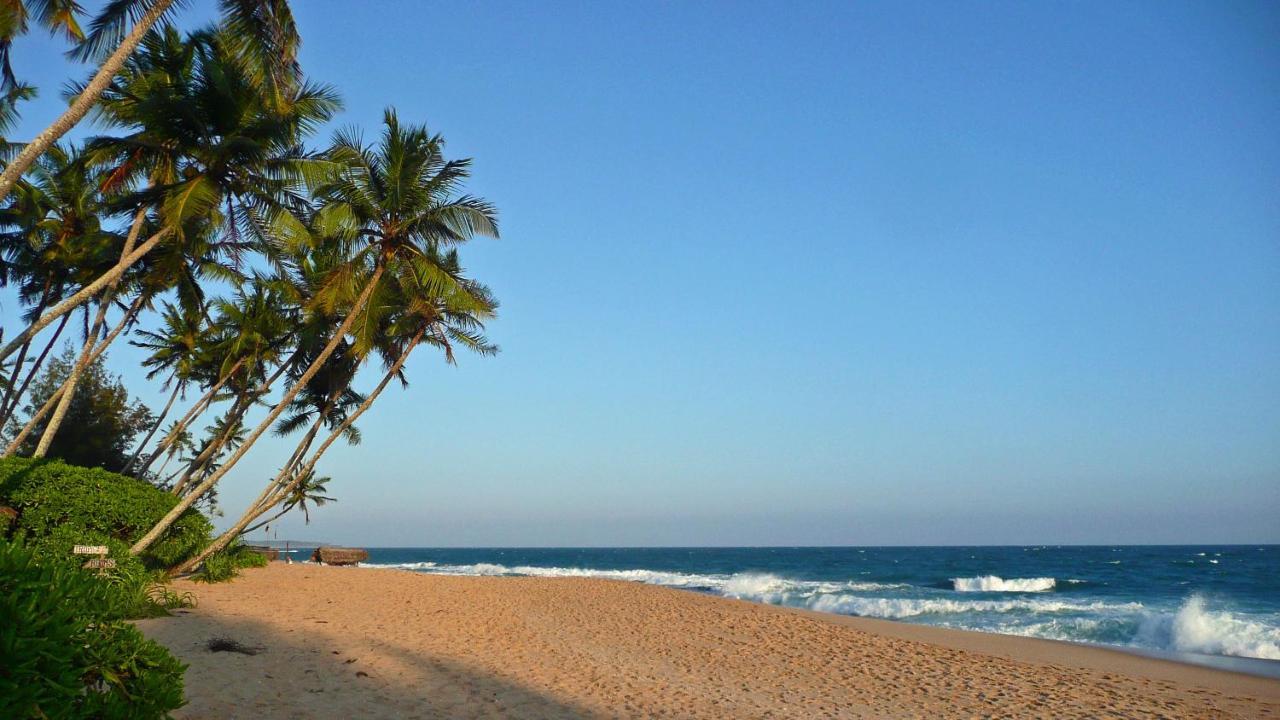 شقة Tropical Garden تانجالي المظهر الخارجي الصورة