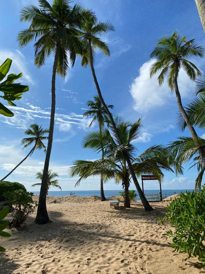شقة Tropical Garden تانجالي المظهر الخارجي الصورة