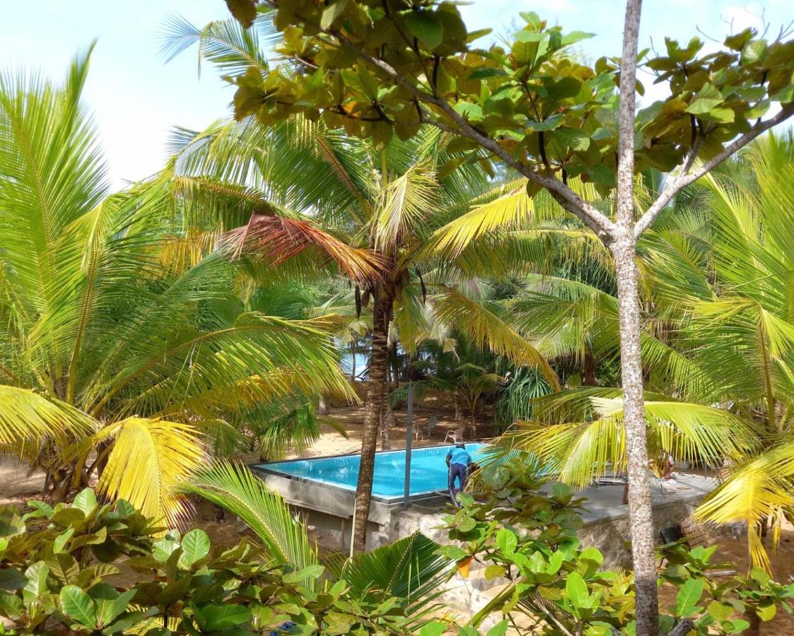 شقة Tropical Garden تانجالي المظهر الخارجي الصورة